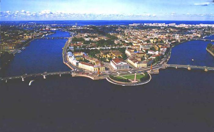 St Petersburg-befolkningen: antal, sammensætning, distribution